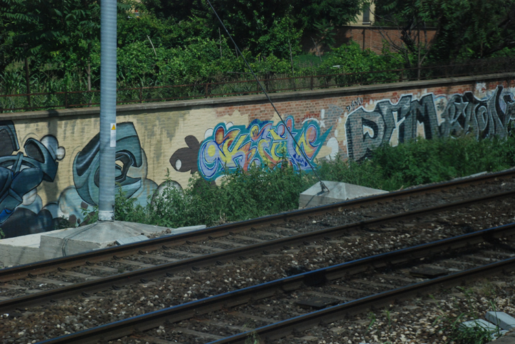 DSC_2102
