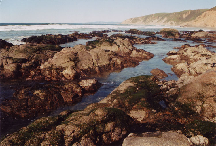 tidepool