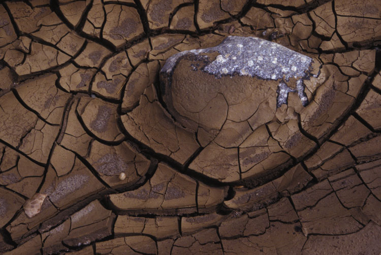 030Mudcracks