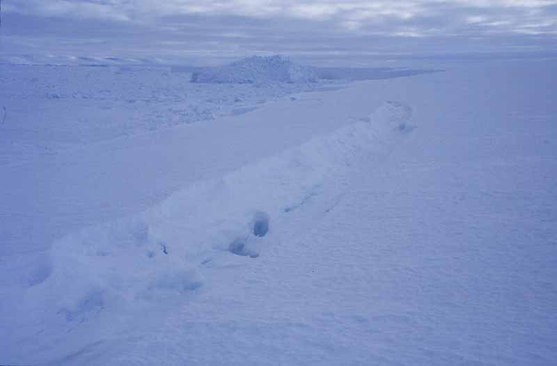 027crevasse