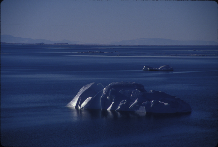 shinyiceberg