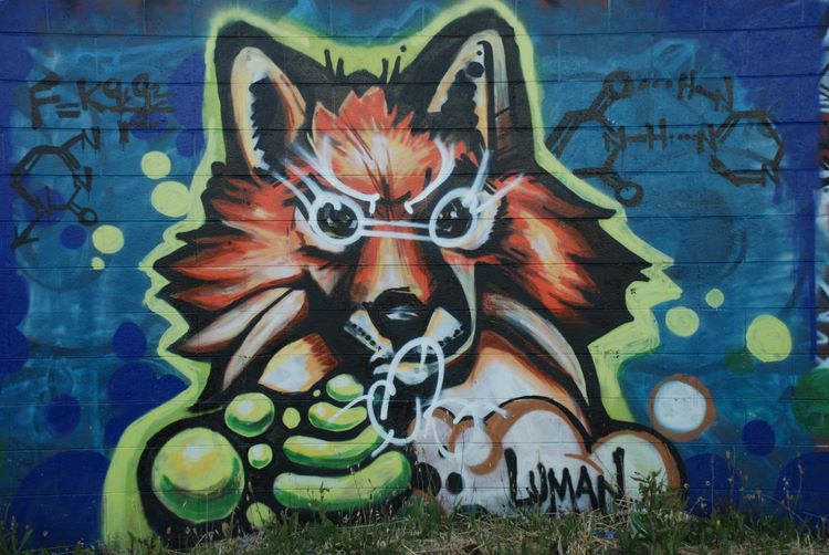 graffitifox