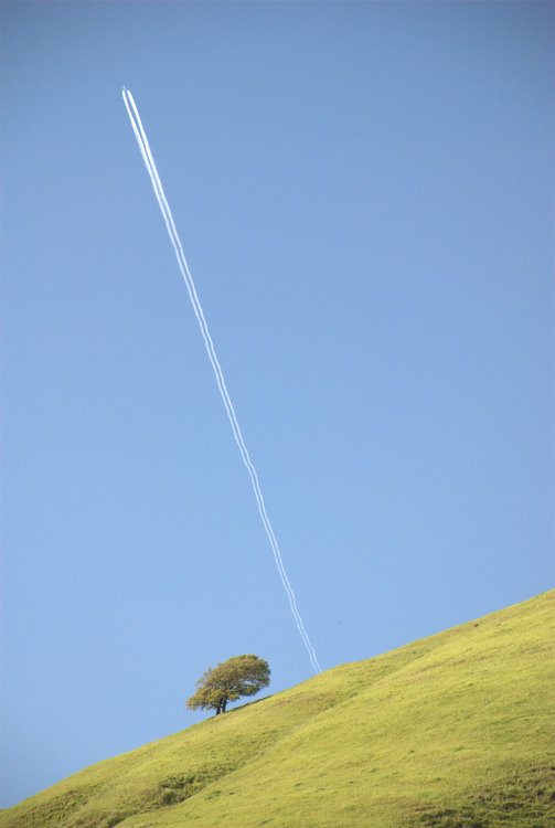 bdcontrail