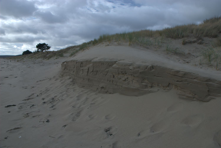 sandduneprofile