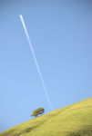 bdcontrail