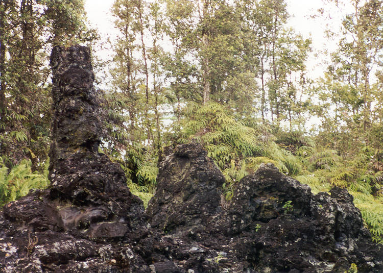 lava_trees