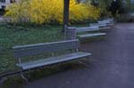 042ParkBenches