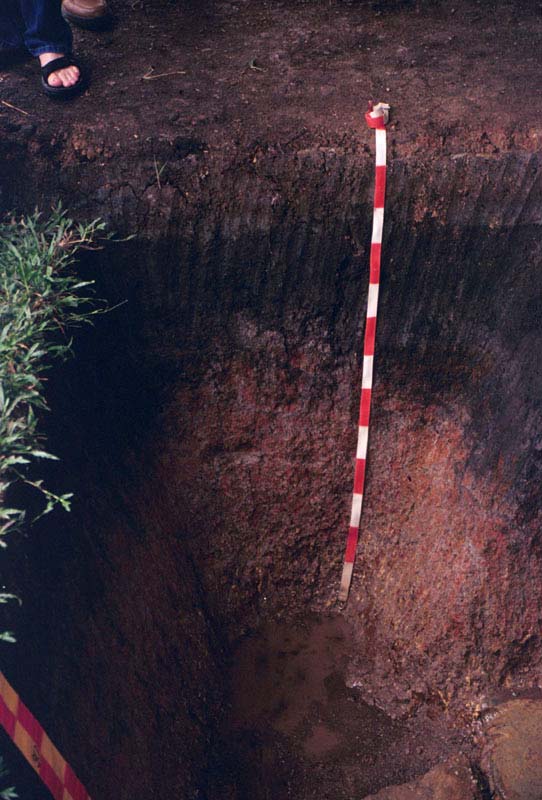 01soil_pit