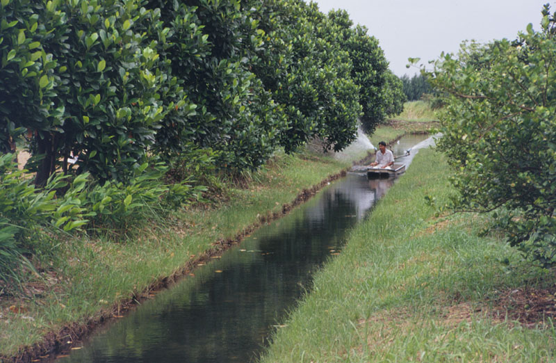 03orchard_watering