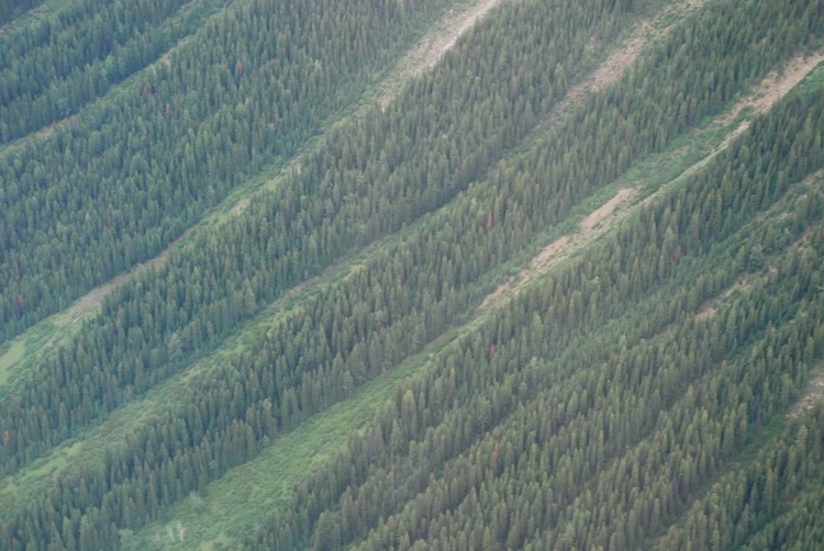 avalanchechutes